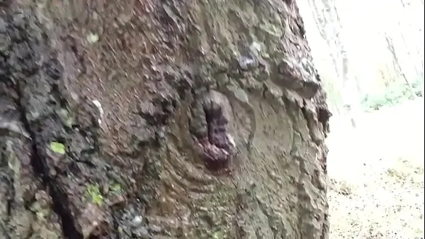 Nézze meg Pissing up a tree vezesse a videókat