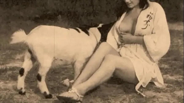 Watch Vintage Taboo, Pussy & Pooch drive Videos